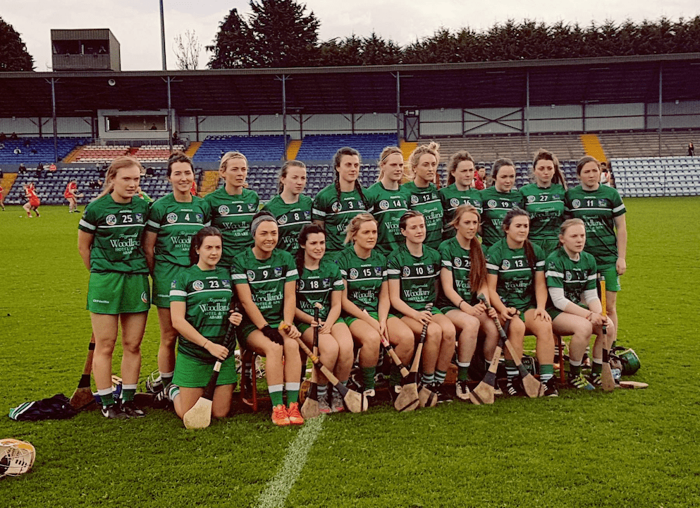 Limerick Camogie Team