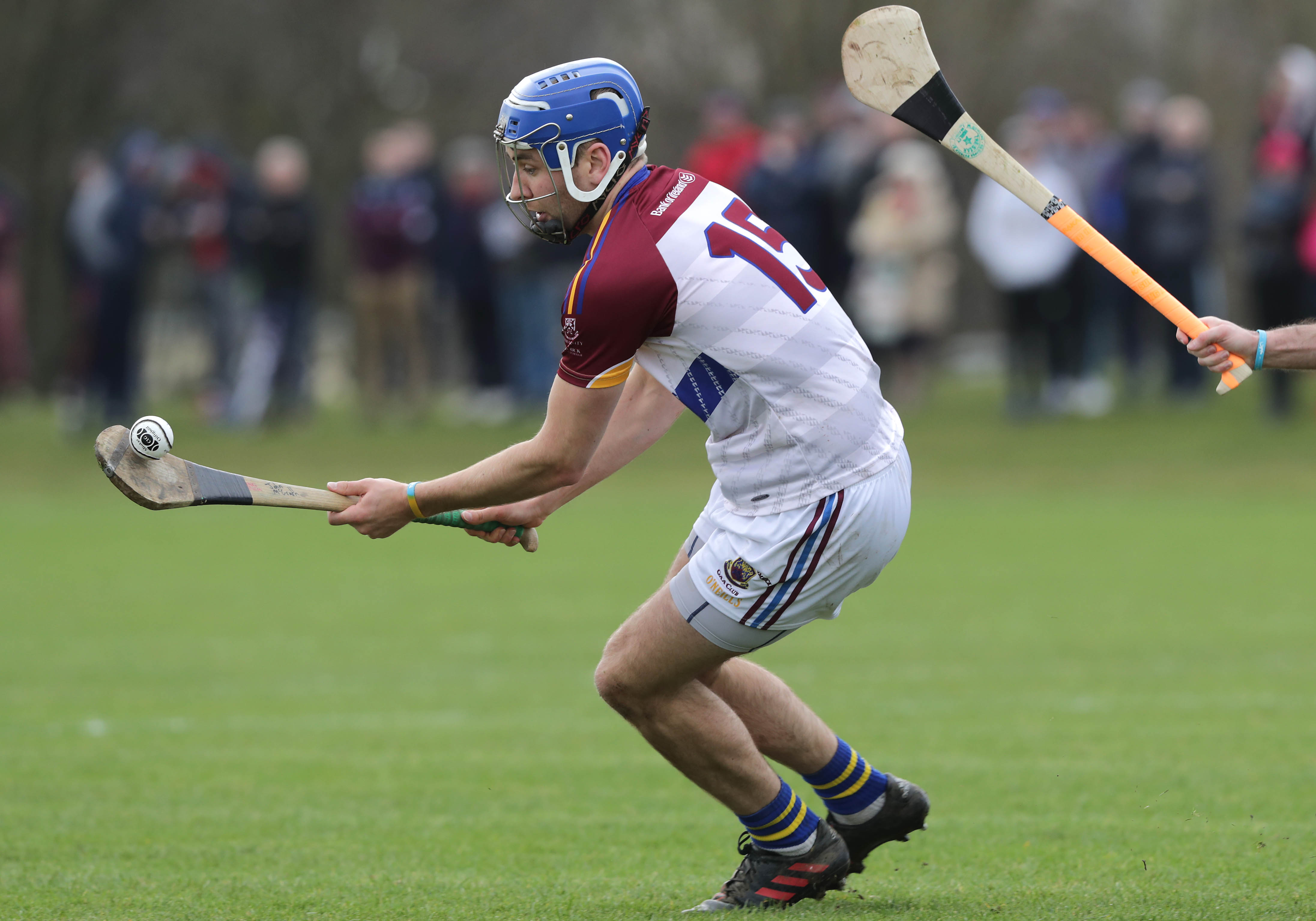 Star Studded UL Face DCU In Fitzgibbon Cup Final Sporting Limerick