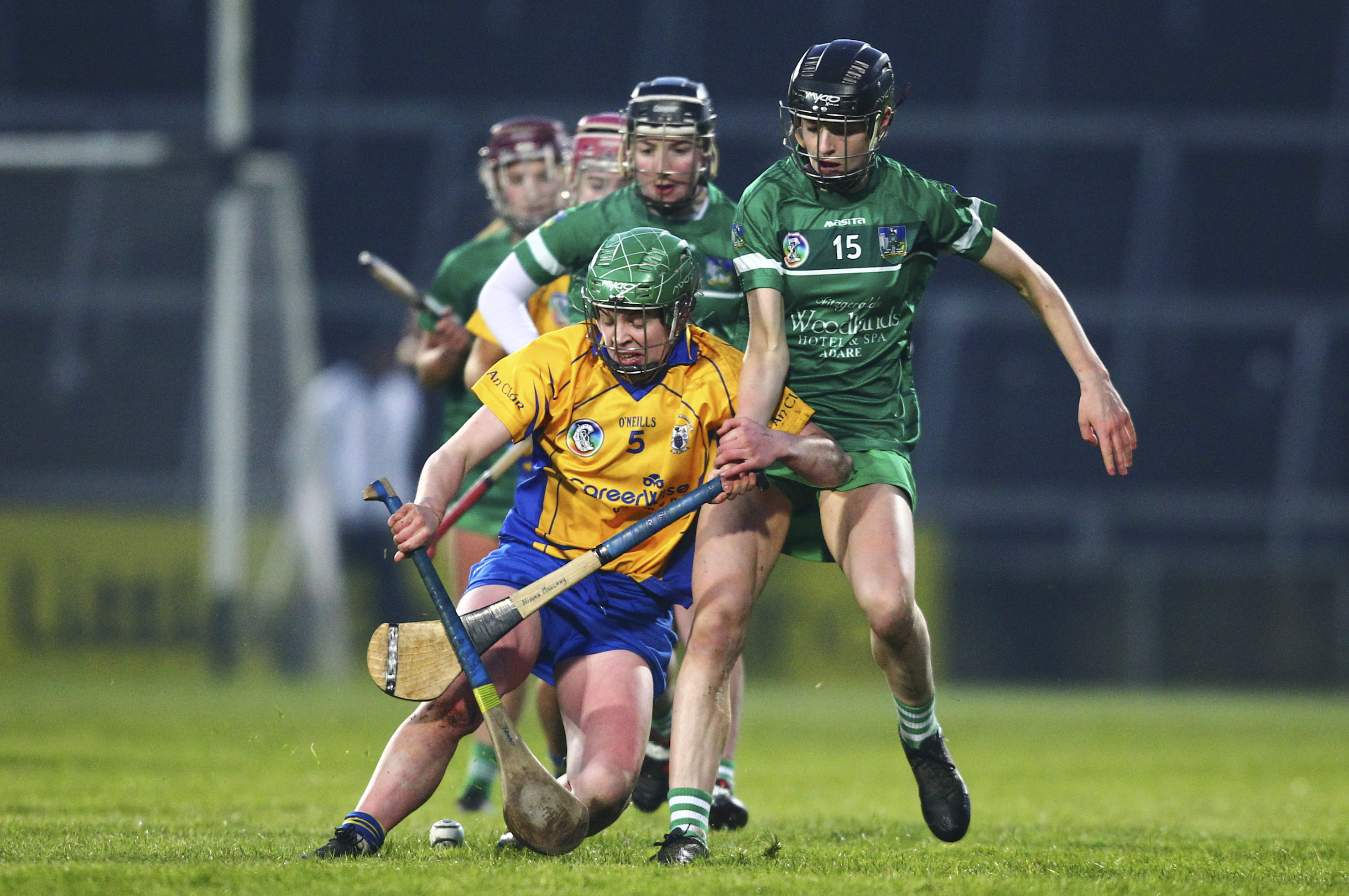 Limerick camogie side continue 100% start with win over Clare in Gaelic ...