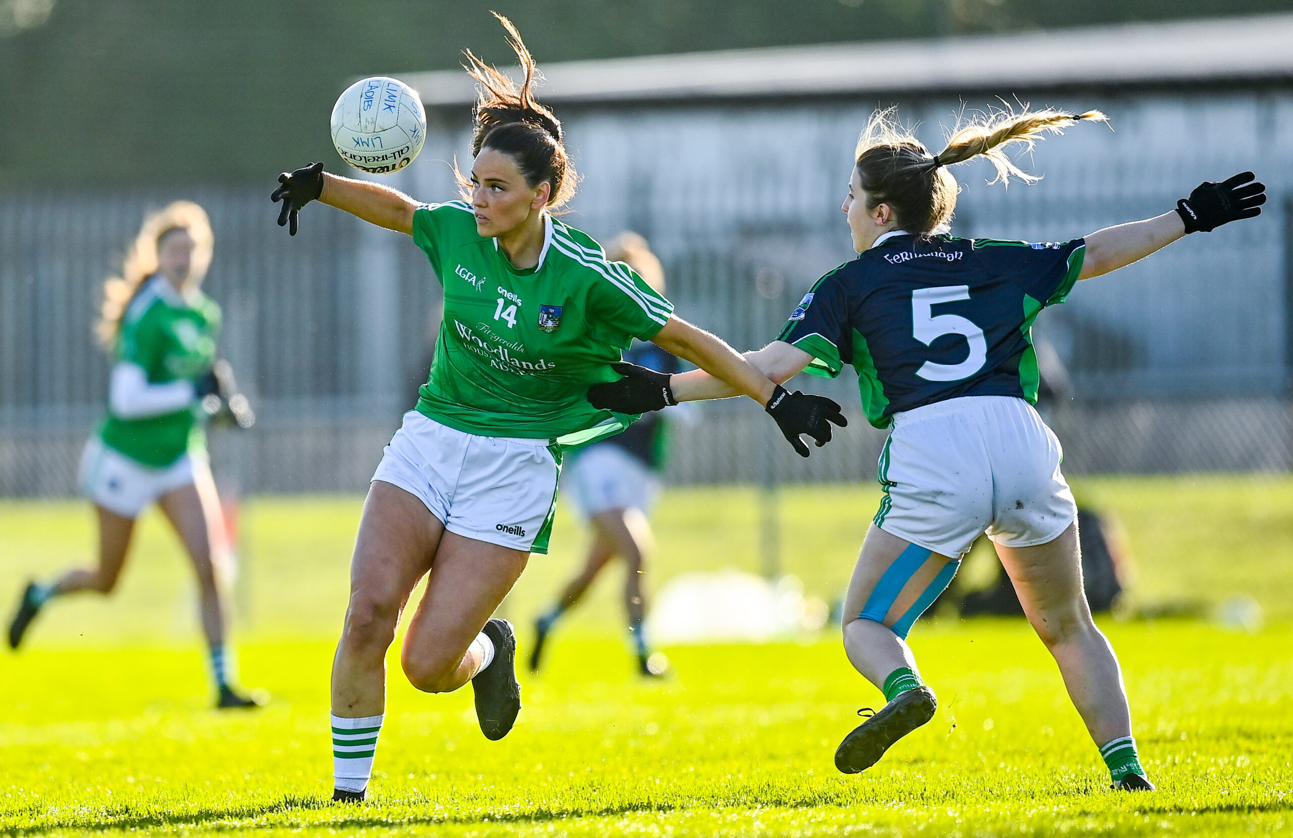 Limerick team confirmed for Lidl Ladies Football League semi final with  Fermanagh - Limerick Live