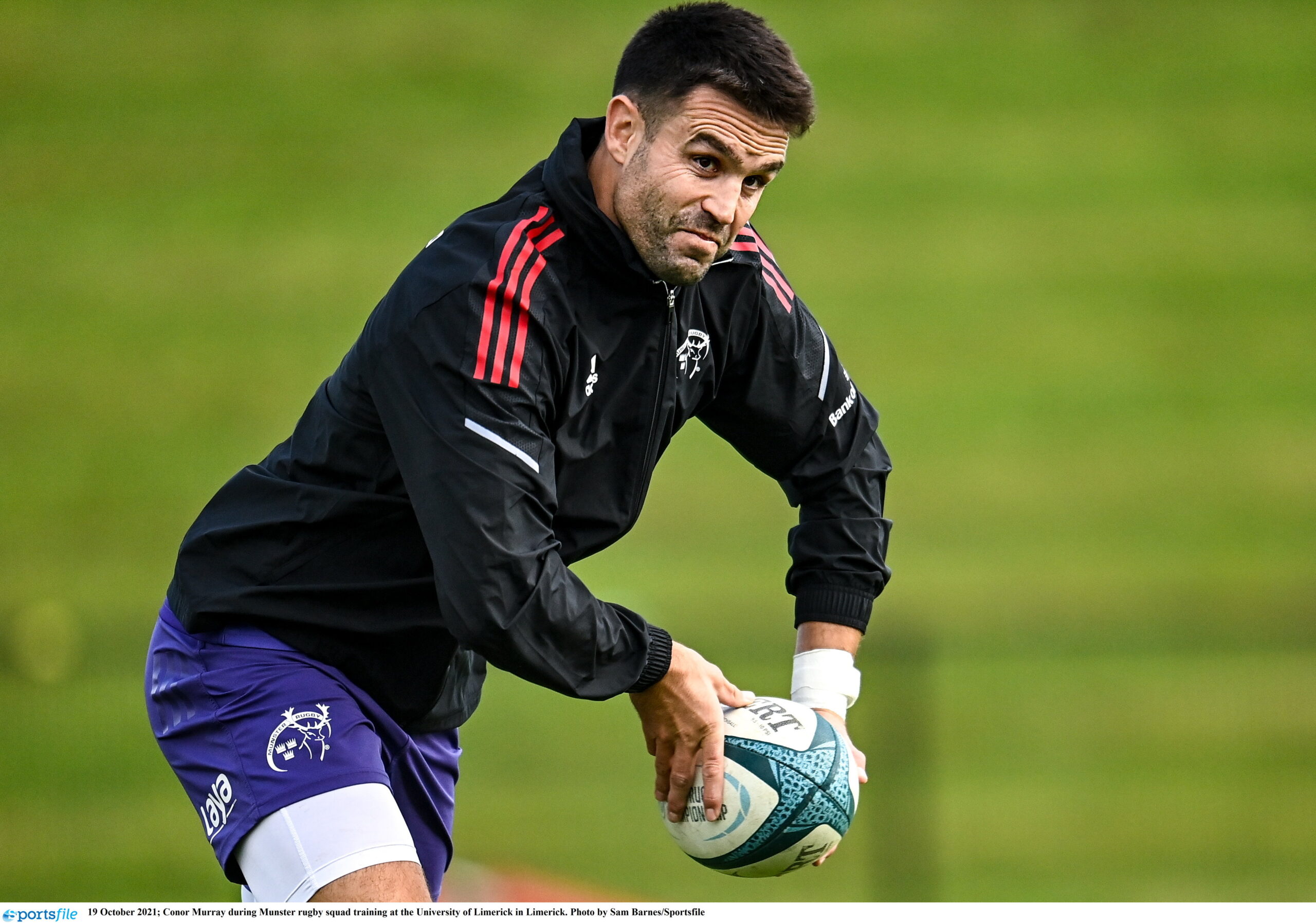 Sportsfile - Munster v Celtic Warriors Photos